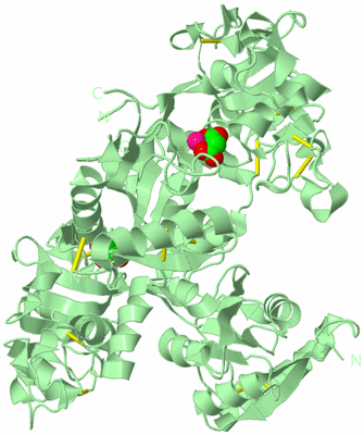 Image Biological Unit 2