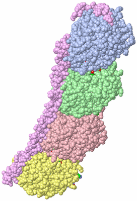 Image Asym./Biol. Unit - sites