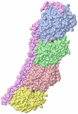 Image Asym./Biol. Unit - sites