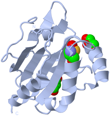 Image Biological Unit 1