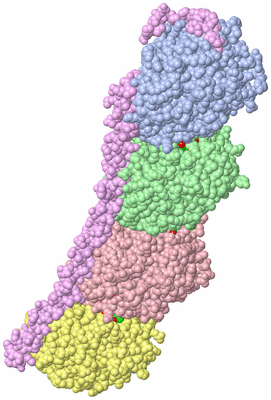 Image Asym./Biol. Unit - sites