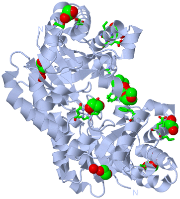 Image Biol. Unit 1 - sites