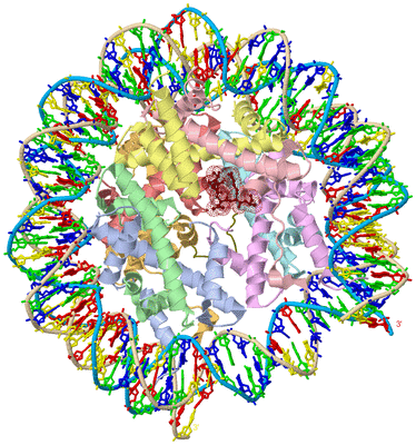 Image Biological Unit 1