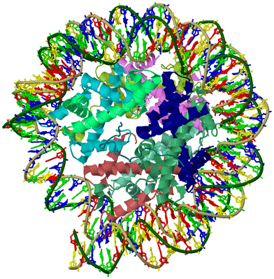 Image Biological Unit 2