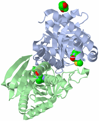 Image Asym./Biol. Unit