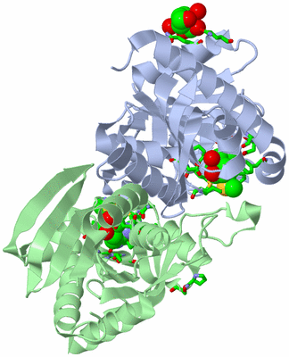 Image Asym./Biol. Unit - sites