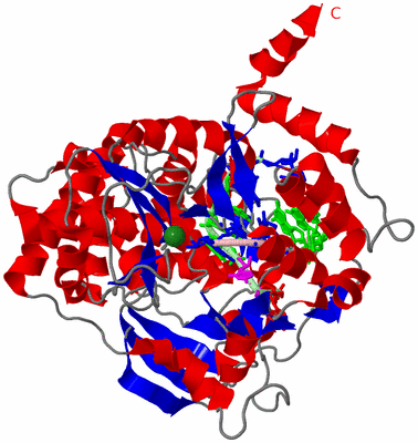 Image Asym./Biol. Unit