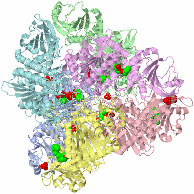 Image Biological Unit 1