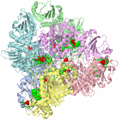 Image Biol. Unit 1 - sites