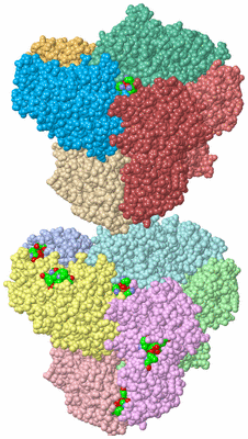 Image Asym. Unit - sites