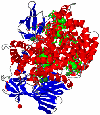 Image Asym./Biol. Unit - sites