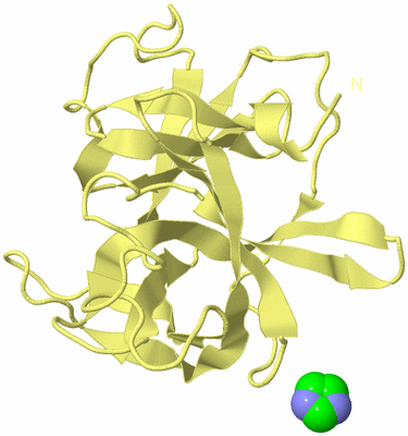 Image Biological Unit 4