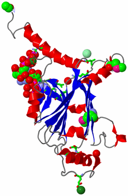 Image Asym./Biol. Unit - sites