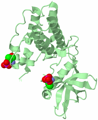 Image Biological Unit 2