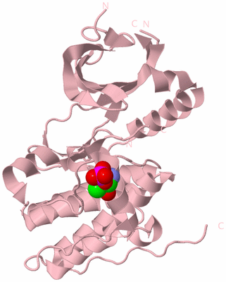 Image Biological Unit 3