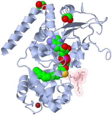 Image Asym./Biol. Unit