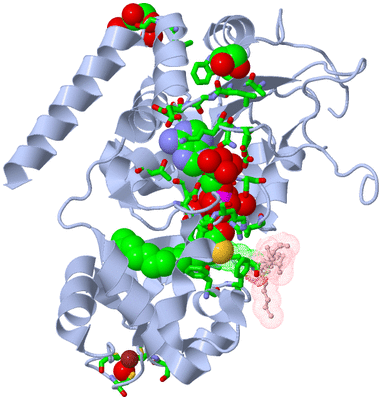 Image Asym./Biol. Unit - sites