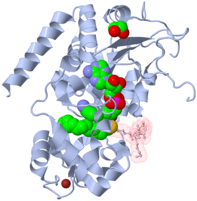 Image Asym./Biol. Unit