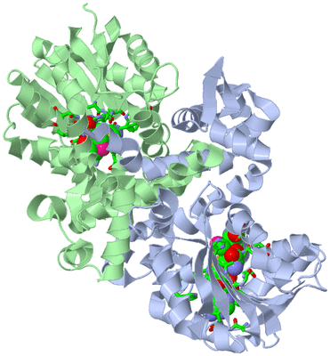 Image Biol. Unit 1 - sites