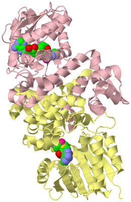 Image Biological Unit 2