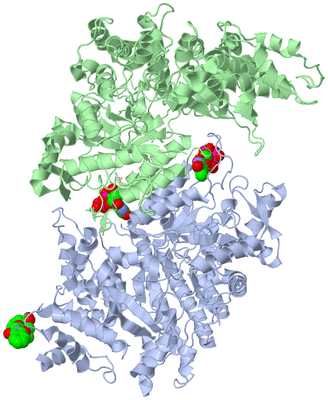 Image Asym./Biol. Unit