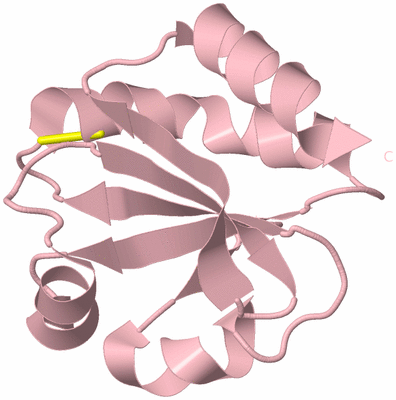 Image Biological Unit 3