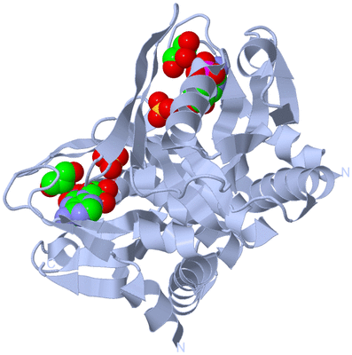 Image Biological Unit 1