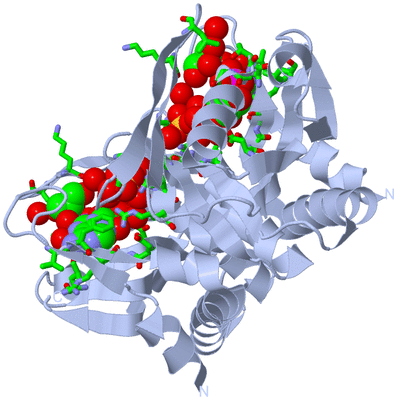 Image Biol. Unit 1 - sites