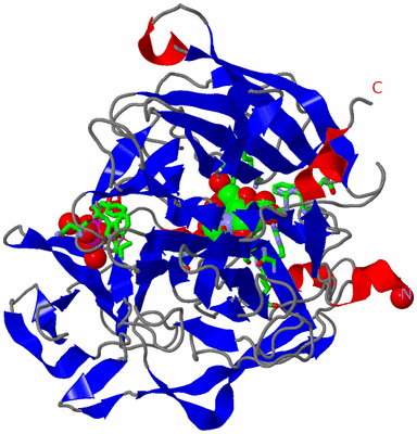 Image Asym./Biol. Unit - sites