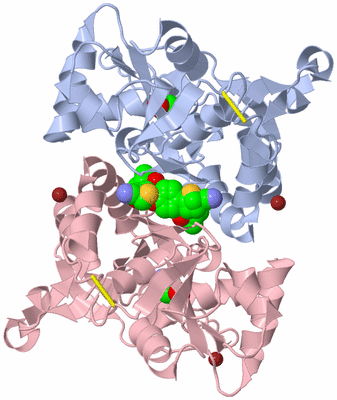 Image Biological Unit 1