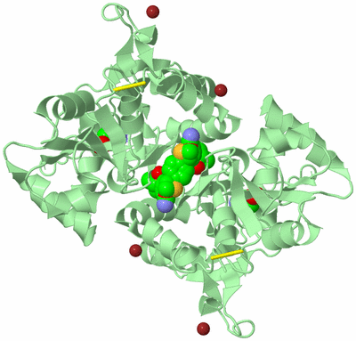 Image Biological Unit 2