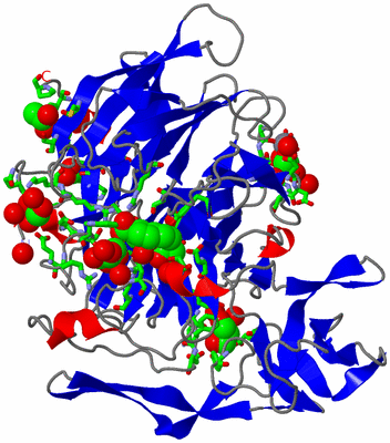 Image Asym./Biol. Unit - sites