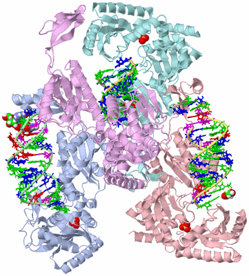 Image Asym./Biol. Unit