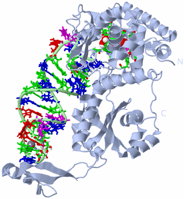 Image Biol. Unit 1 - sites