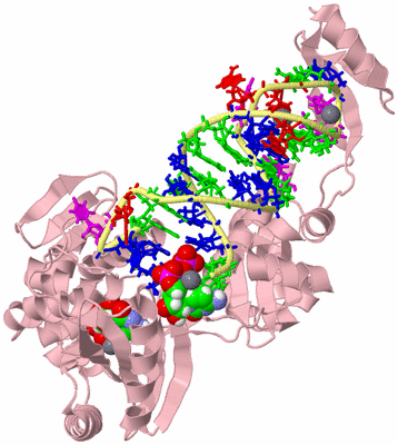 Image Biological Unit 2