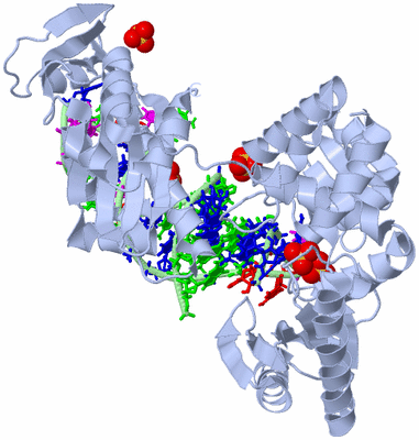 Image Biological Unit 1