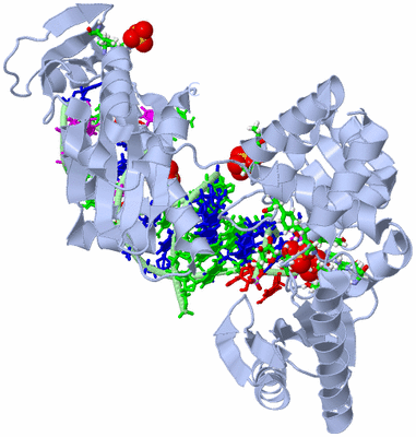 Image Biol. Unit 1 - sites