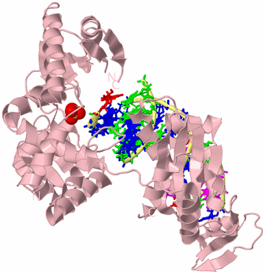 Image Biological Unit 2