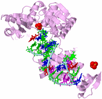 Image Biological Unit 3