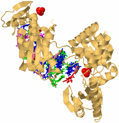 Image Biological Unit 4