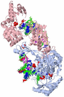 Image Biological Unit 5