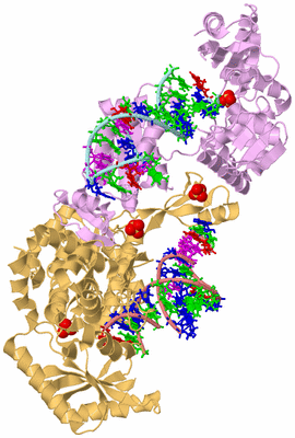 Image Biological Unit 6