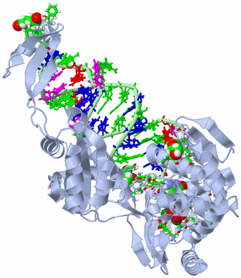 Image Biol. Unit 1 - sites