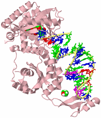 Image Biological Unit 2