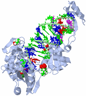 Image Biological Unit 1