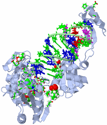 Image Biol. Unit 1 - sites