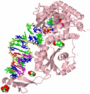 Image Biological Unit 2