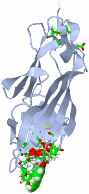 Image Biol. Unit 1 - sites