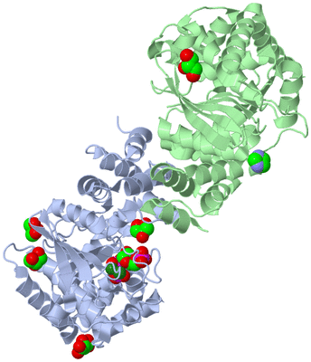 Image Asym./Biol. Unit