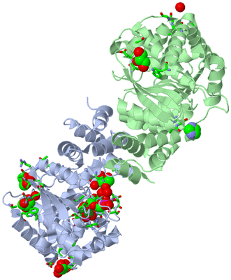 Image Asym./Biol. Unit - sites